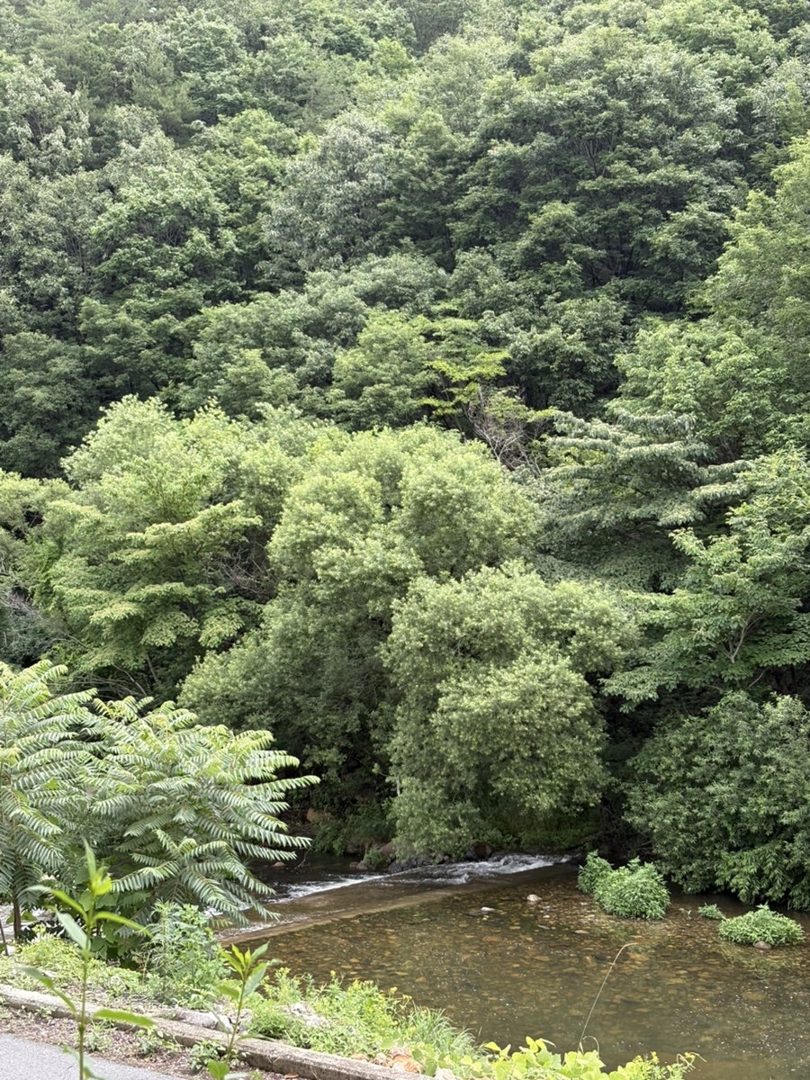 용천토리오토캠핑장 사진 2