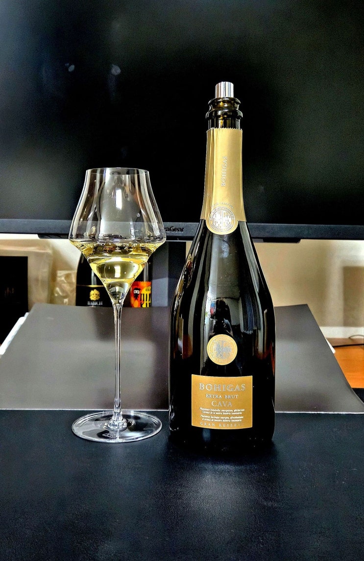  [까바] 보히가스 엑스트라 브뤼 그랑 리저브 2020 Bohigas Extra Brut Gran Reserva 2020 스페인 스파클링 와인 리뷰