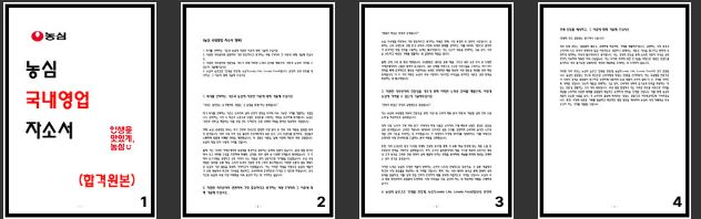  농심 국내영업 자소서 24년 최종합격
