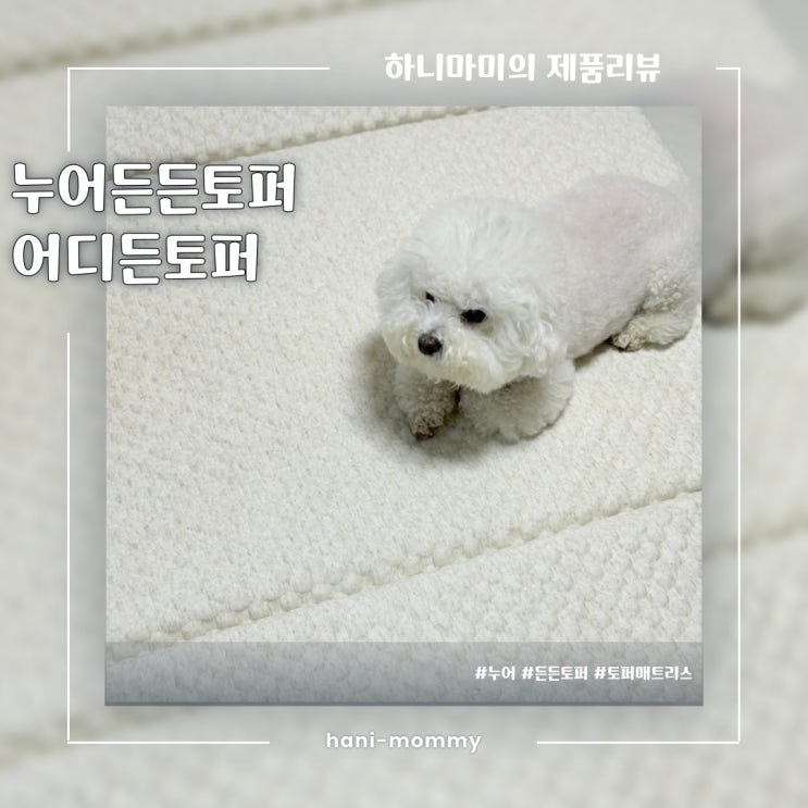 누어 든든토퍼, 3단 접이식 어디든 토퍼 거실매트로 추천 누어 든든토퍼, 3단 접이식 어디든 토퍼 거실매트로 추천