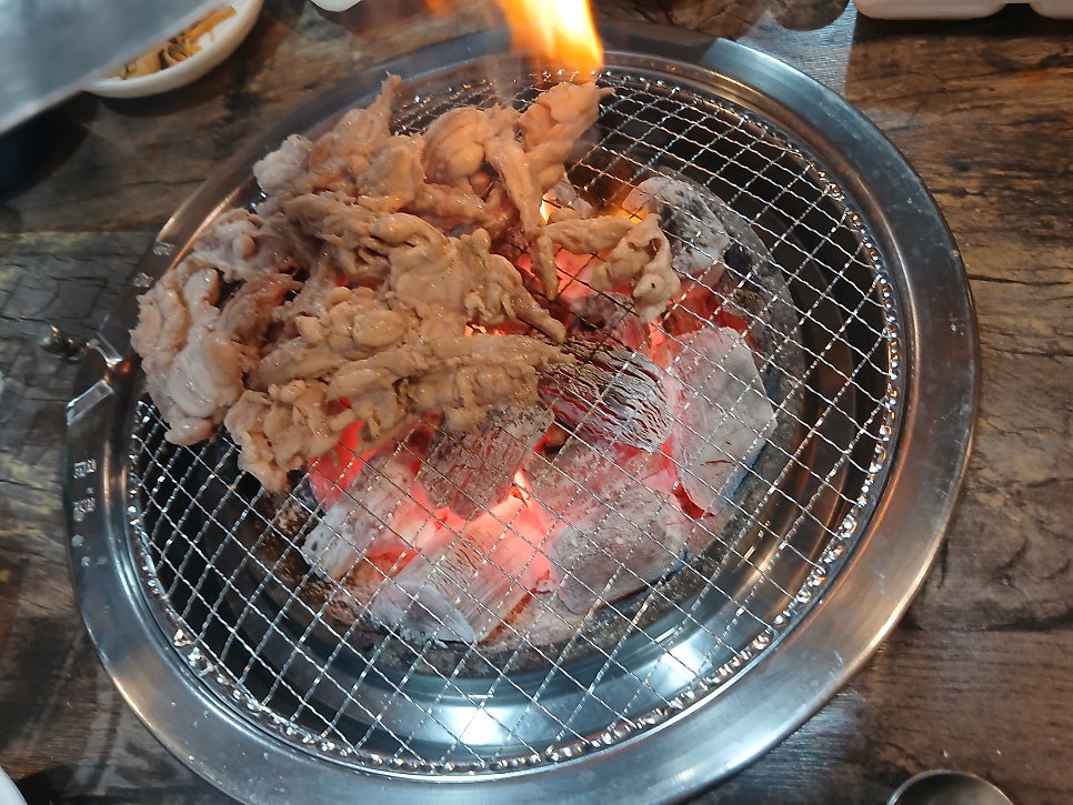 돈이랑꼬꼬랑 사진 6