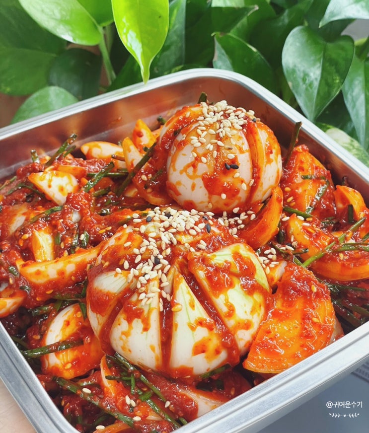  양파김치 레시피 달큰 아삭한 양파김치 만드는법 시판 양파김치양념으로 만들기