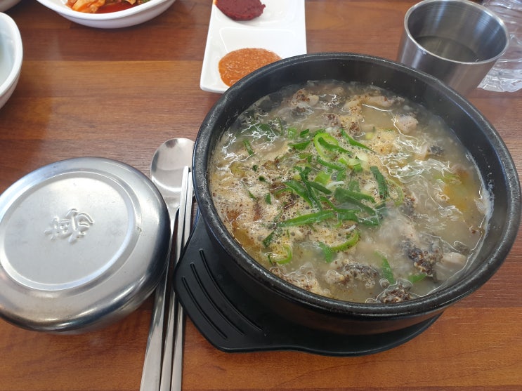  안성 맛집 일죽해장국 선지해장국 내장탕 돈까스 맛나네요