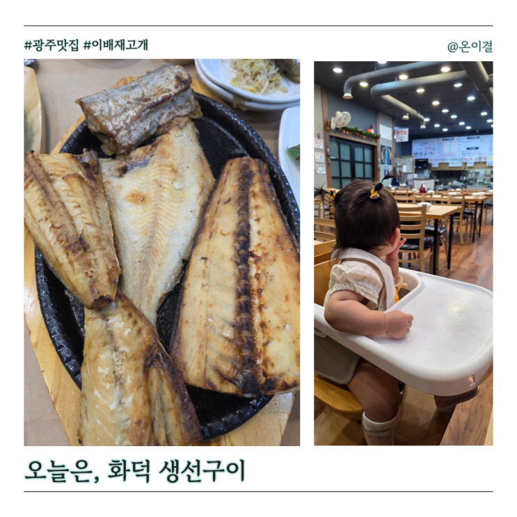  광주 이배재 맛집 오늘은생선구이 화덕구이 모듬 4인 11개월 아기랑 유아의자 있는 곳