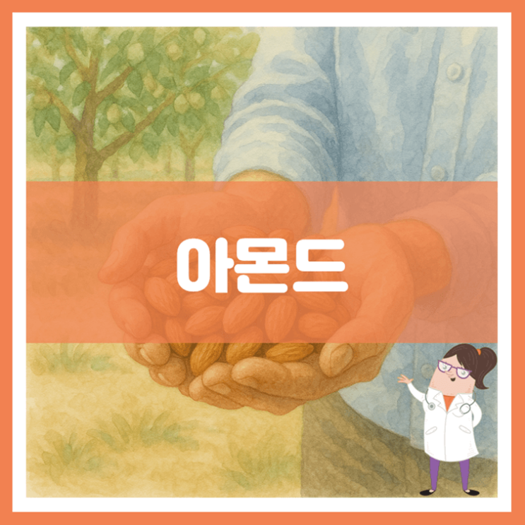  아몬드 효능 섭취방법 부작용