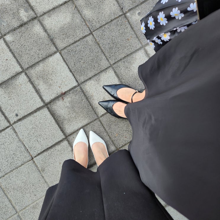  [24.06.08~25.06.14] 둘째주