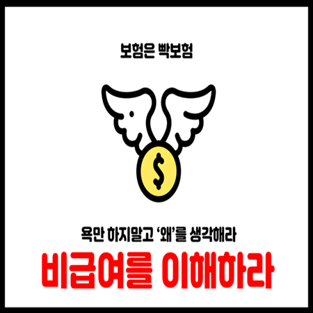  2025년 비급여 보험 완전정복 가이드