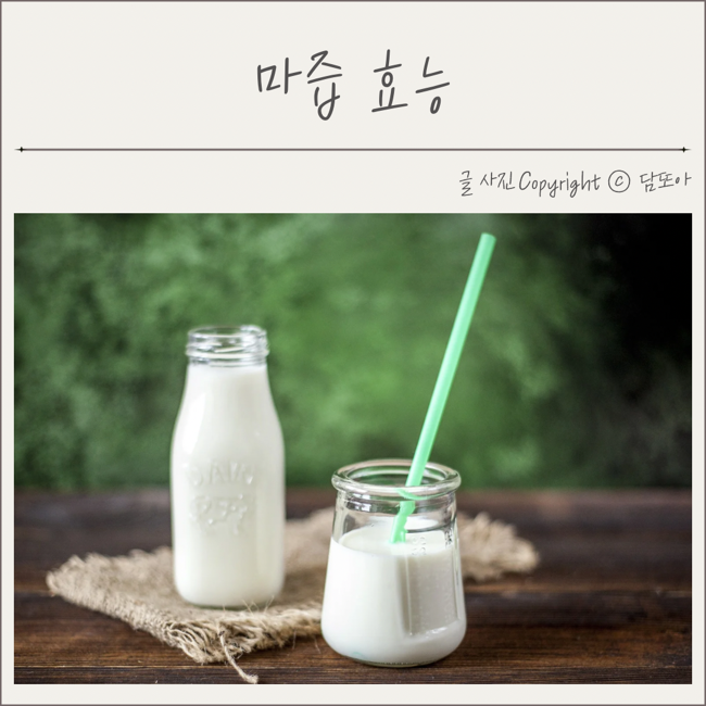  마즙 효능 먹는법 마즙 어디에 좋을까?