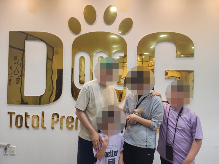  세종시 강아지분양 11년 원독 애견분양 센터 , 온 가족이 선택한 말티푸 분양 이야기