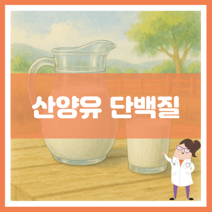  산양유 단백질 5가지 효능 섭취방법 부작용
