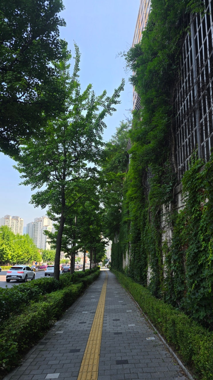 (주말장마 / <b>김강민은퇴식</b> / 문래데이트... 