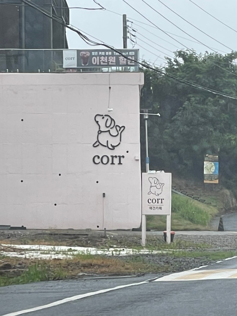 사진 6