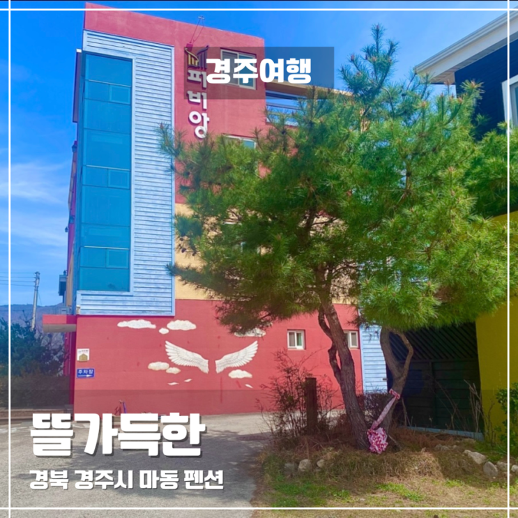  경주 마동 숙소 뜰가득한 펜션, 바베큐파티와 야경투어까지