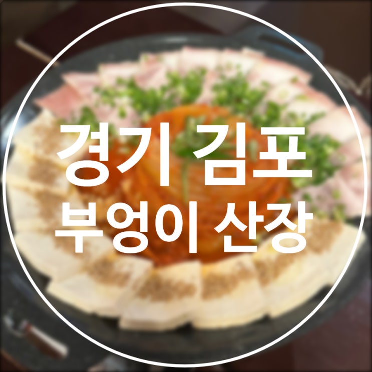  [경기/김포] 부엉이산장 구래점 / 김포 구래동 감성 맛집 술집 추천