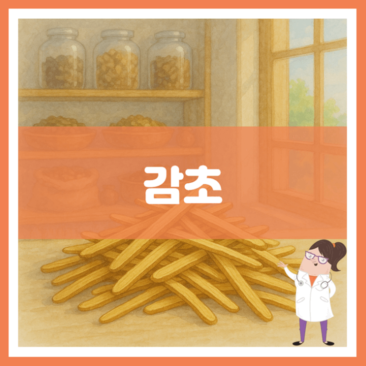  감초 5가지 효능 부작용 먹는 방법
