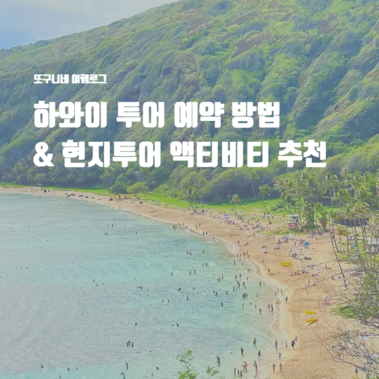  하와이 투어 예약 방법 & 현지투어 액티비티 추천