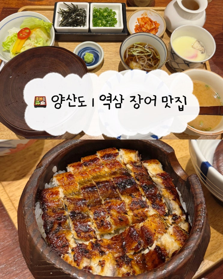 [역삼역 맛집] 양산도 | 강남 혼밥하기 좋은 1인 장어덮밥