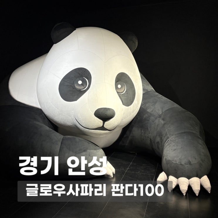 글로우사파리 판다100 | 안성 아쿠아필드 옆 가볼 만한 곳, 실내 나들이 장소 추천