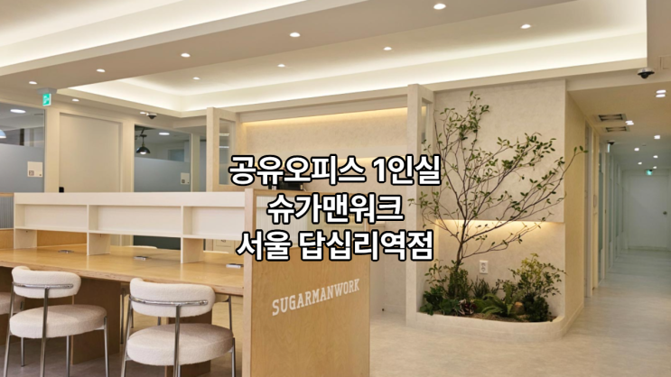  공유오피스 1인실 찾는다면? 슈가맨워크 서울 답십리역점 주목!