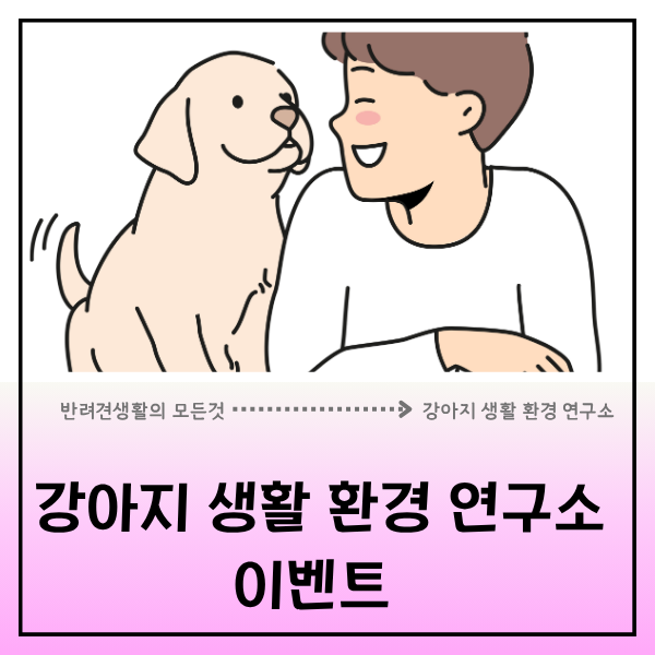  강아지 생활 환경 연구소, 반려 견과 반려인을 위한 힐링 두 번째 이벤트