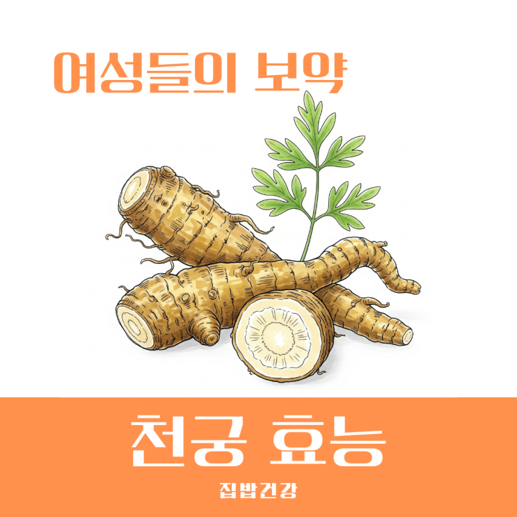 천궁 효능 여성에게 보약이라 불리는 이유