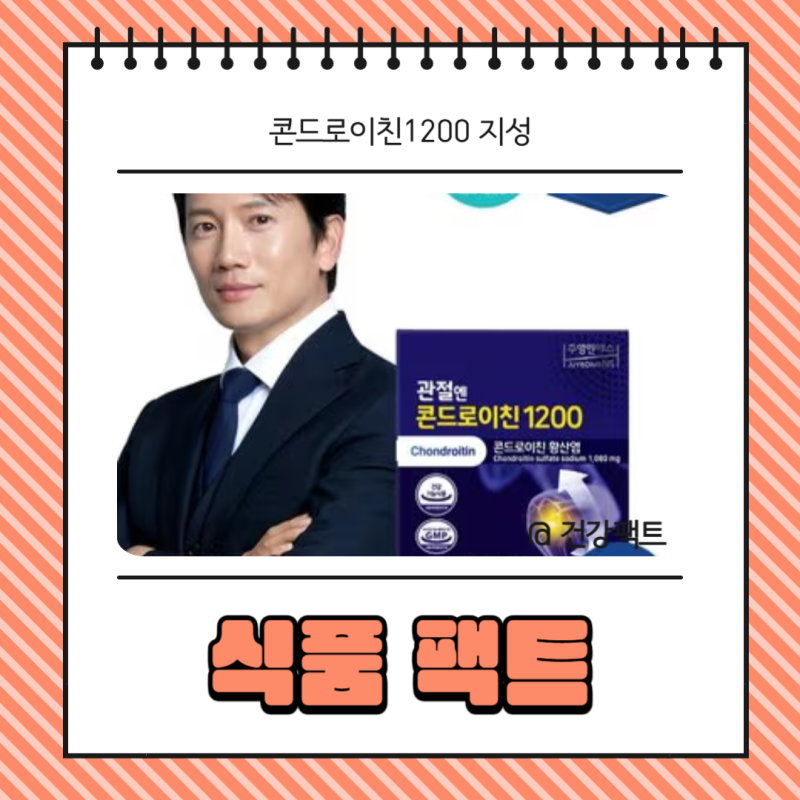 콘드로이친1200 지성 효능 부작용 정보