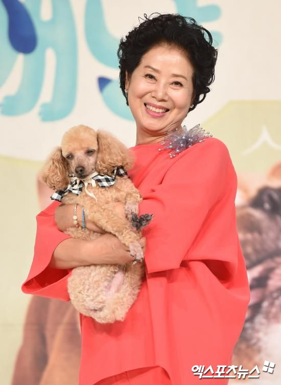  '부동산 큰손' 선우용여, 재력 어마어마 "주 4회 호텔 뷔페" (냉부해)