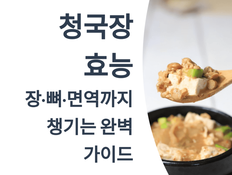  청국장 효능 총정리: 장·뼈·면역까지 챙기는 완벽 가이드