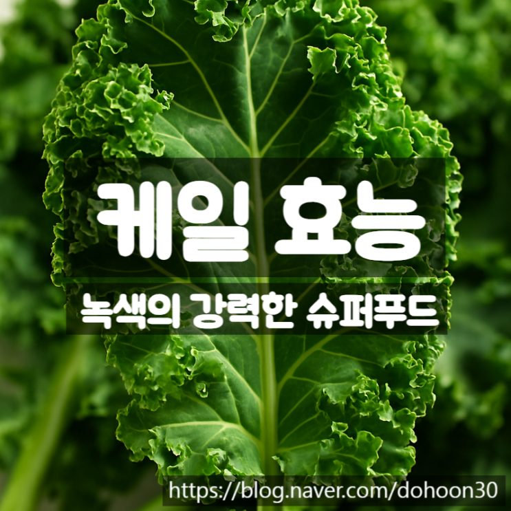  케일 효능 성분 먹는법 총정리 – 한 잔의 주스로 챙기는 건강