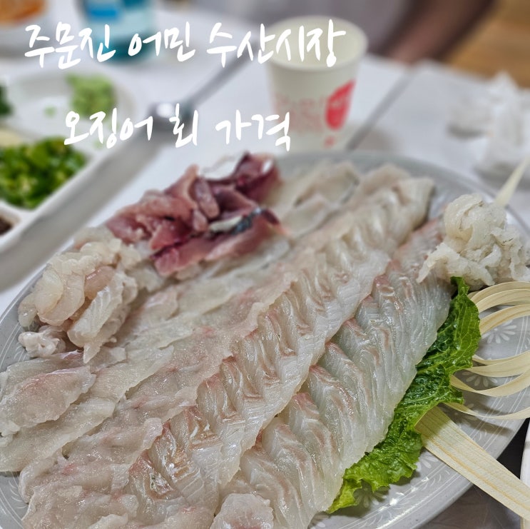  주문진 수산시장 자연산 회포장 오징어회 가격