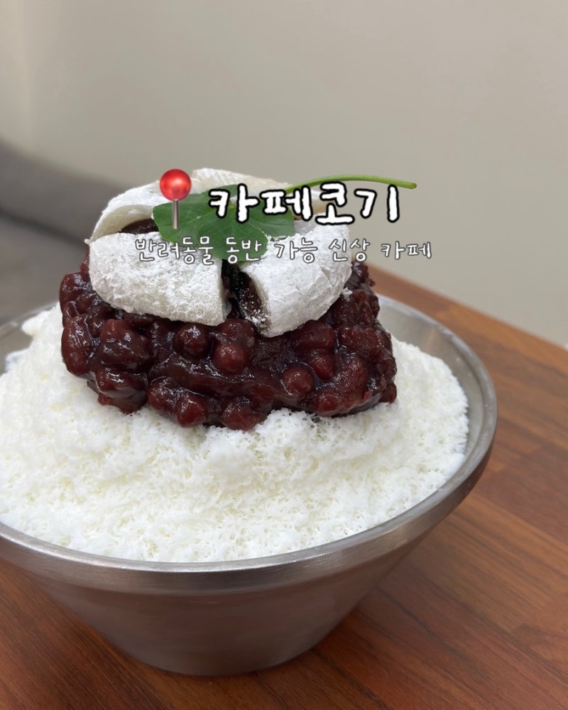 사진 2