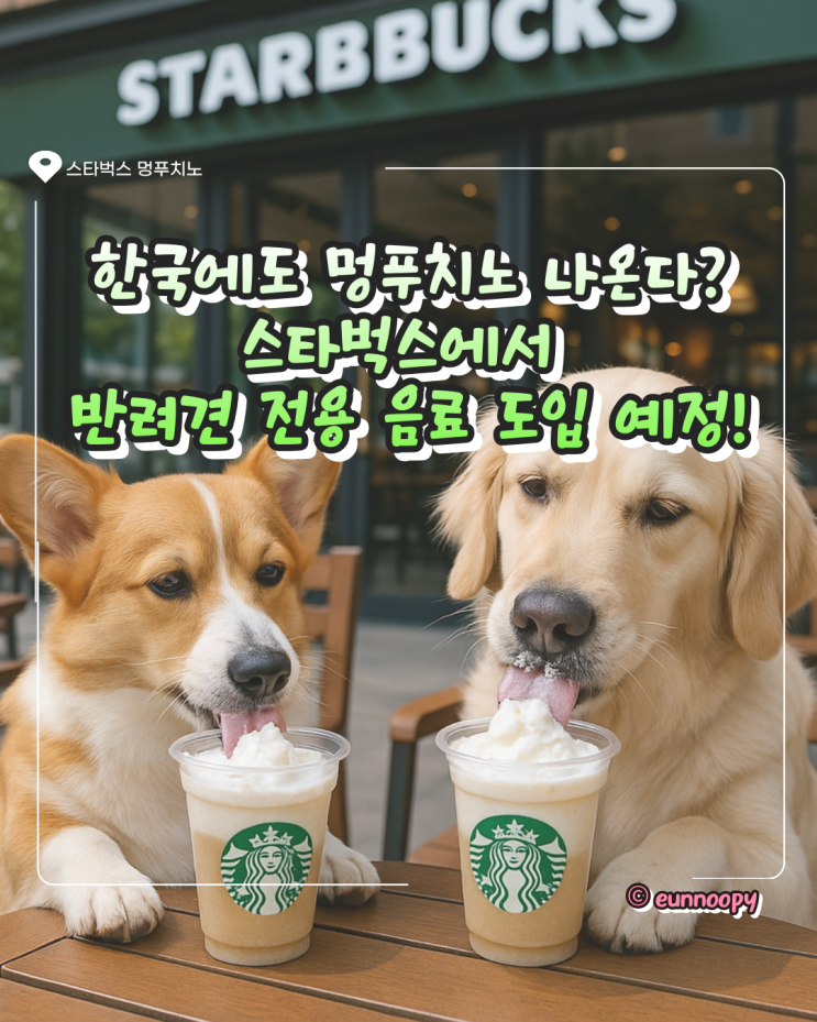  스타벅스멍푸치노 도입 예정! 시범 매장 어디? 출시 시점은?