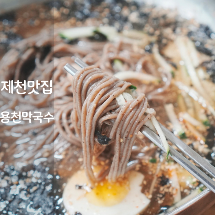  제천 맛집 용천막국수 본점 주차 메뉴 비빔 물막국수
