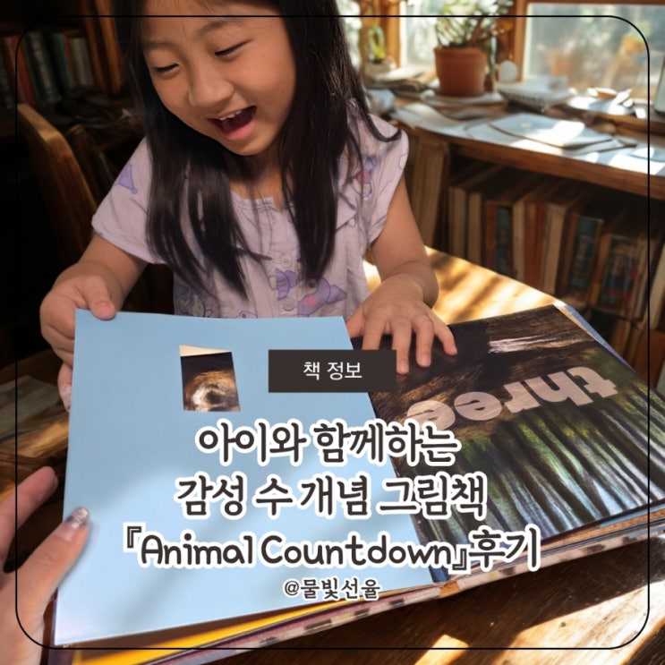  감성 수 개념 그림책 Animal Countdown