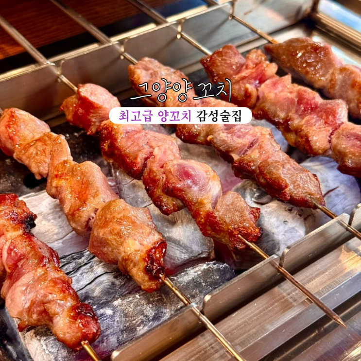  동래맛집 그양양꼬치 : 최고급 양고기 양꼬치 감성술집 [부산 동래]