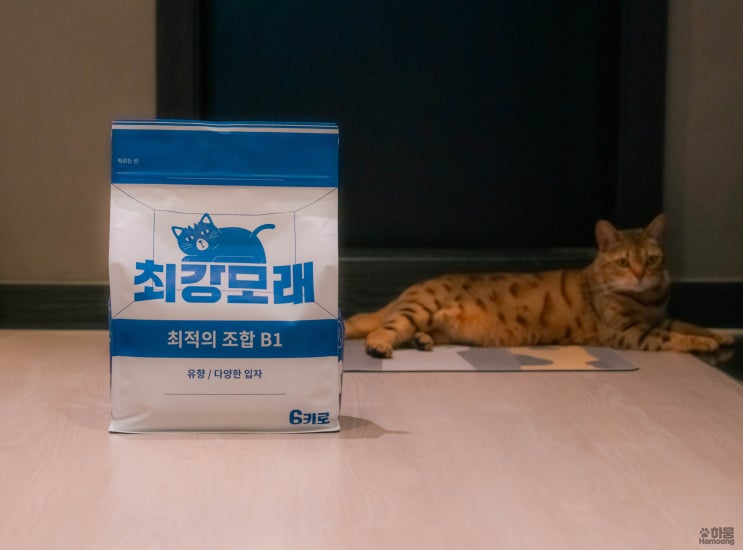  탈취력 좋은 고양이모래 교체 벤토나이트 추천 최강모래