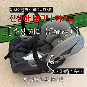 [새상품 당근구매후기] 순성 캐리 신생아 바구니 카시트 언박싱 + 분해 / 세탁 방법 / 바구니....