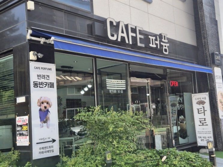  장유 카페 추천 | 장유 애견동반 가능한 카페, 타로카페퍼퓸 리뷰