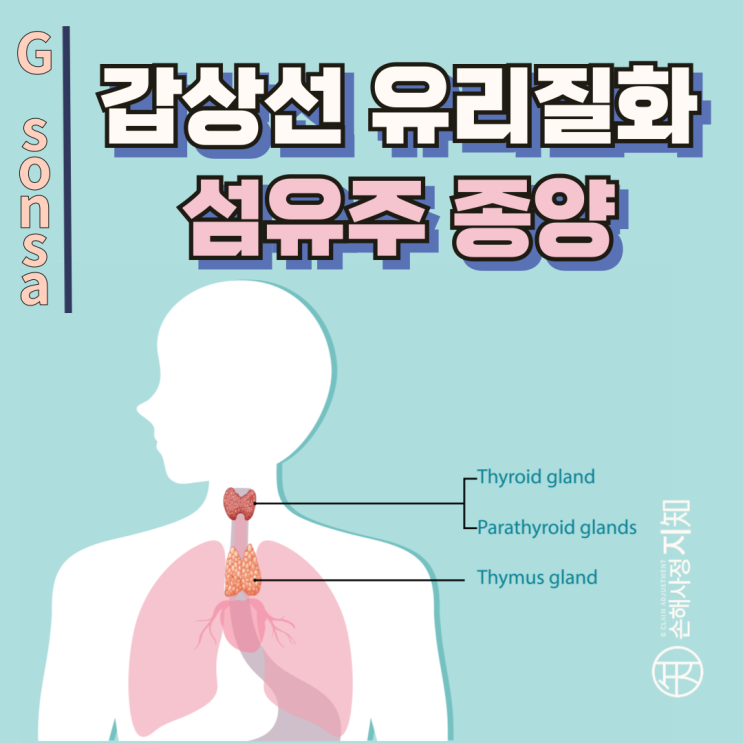  갑상선 유리질화 섬유주 종양, 양성 진단에도 보험금 받을 수 있을까? - [진단비, BA+DA]
