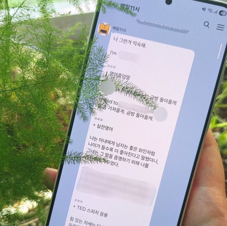  카톡영어 솔직후기 - 매일11시 미루던 영어회화 하루 1번 공부하기