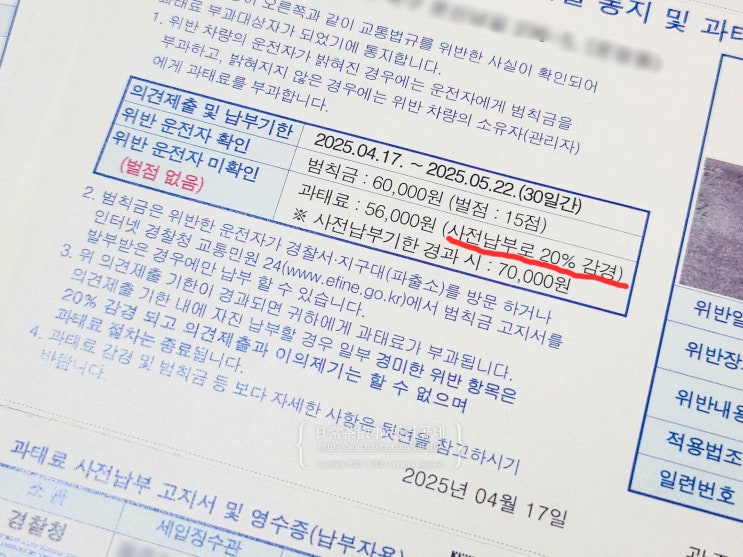  과태료 범칙금 차이 사진 없는 교통위반 고지서 경찰서 문의 범칙금 전환