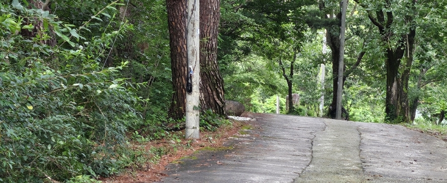 계곡민박 사진 2