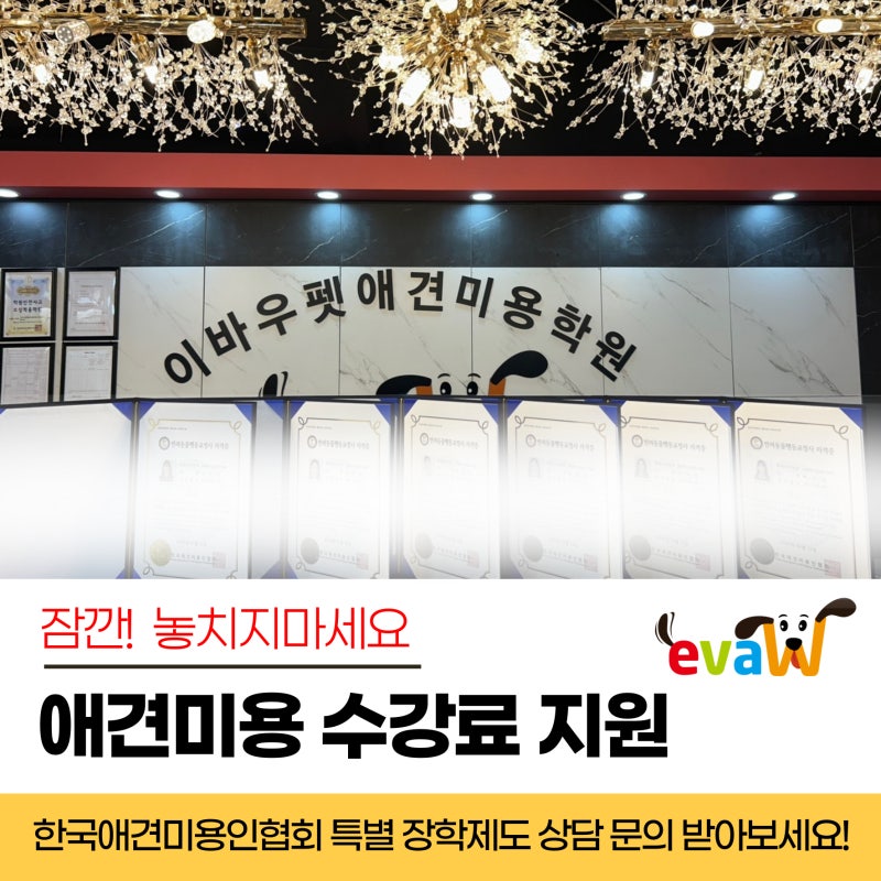 애견미용