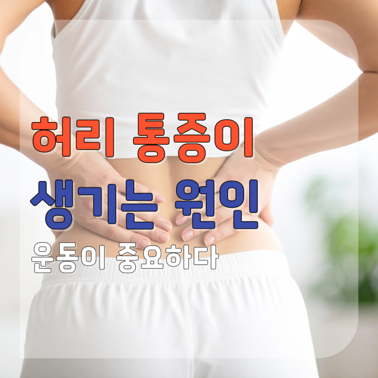 허리 통증이 생기는 원인 운동 정말 중요할까?