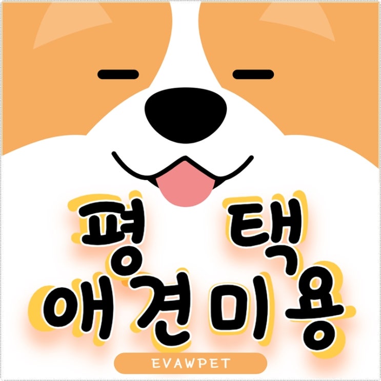  평택애견미용학원 선택 시 고려해야 할 요소와 이바우펫의 경쟁력