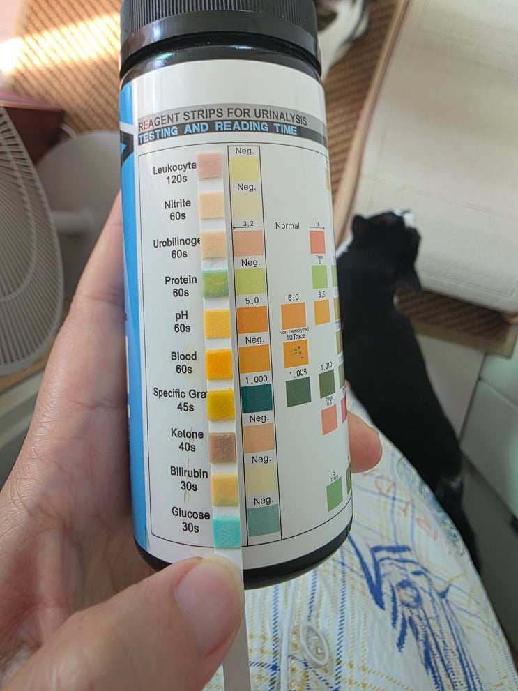 고양이소변검사스틱 사람 뇨스틱으로 사용해도 될까?