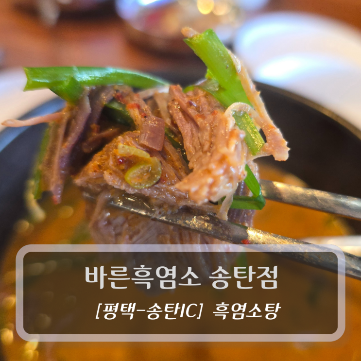  평택 흑염소 맛집 :: 바른흑염소 송탄점 - 흑염소탕 후기