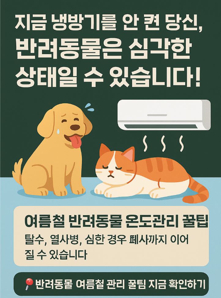  반려동물 여름철 온도 관리 꿀팁｜강아지·고양이 열사병 예방법 총정리