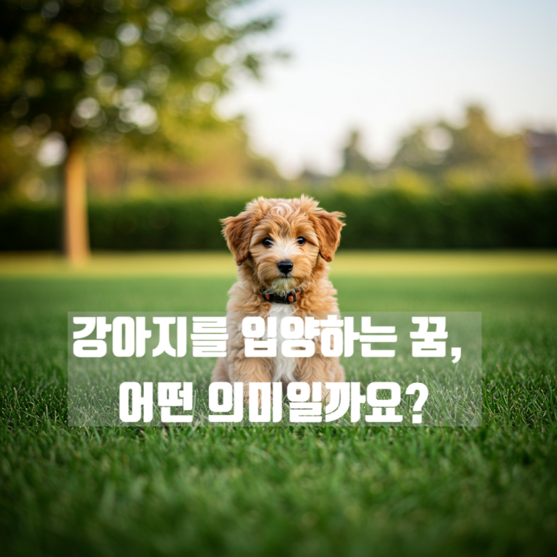 강아지를 입양하는 꿈, 어떤 의미일까요?
