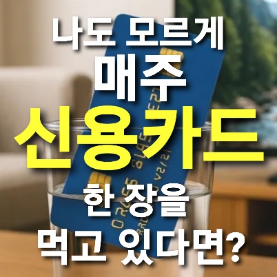  나도 모르게 매주 신용카드 한 장을 먹고 있다면?